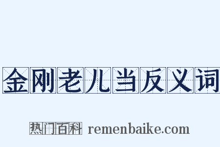 金刚老儿当反义词是什么意思的图片